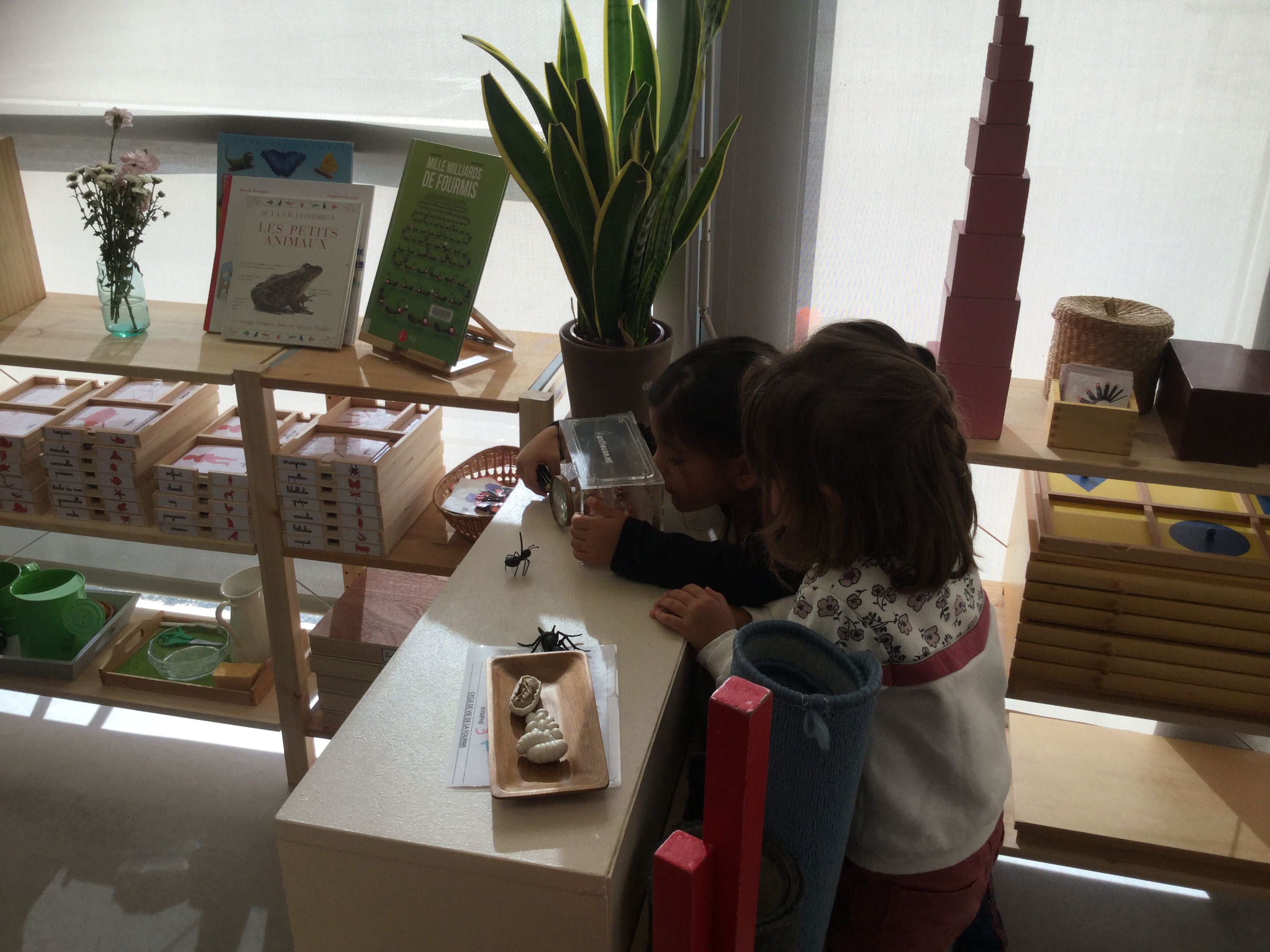 ambianemontessori