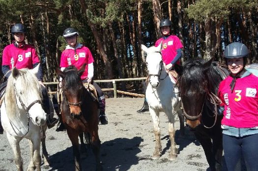 St Louis, un collège qui murmure à l'oreille des Chevaux